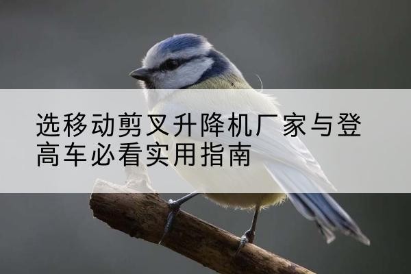 曲靖电动升降机厂家-选移动剪叉升降机厂家与登高车必看实用指南