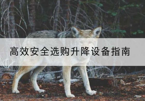曲靖升降货梯厂家推荐-*安全选购升降设备指南